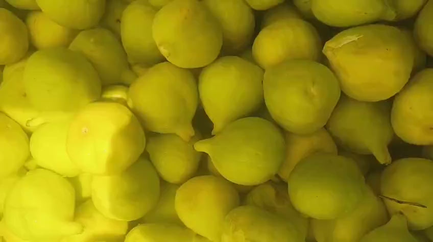 Load video: A crate of figs straight off the tree, on the way to the drying beds